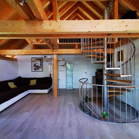 Apartments In Blockhaus Im Wald سيغزدورف المظهر الخارجي الصورة