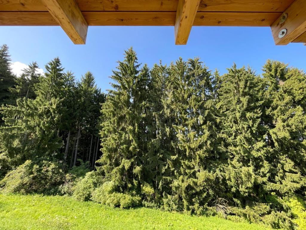 Apartments In Blockhaus Im Wald سيغزدورف المظهر الخارجي الصورة